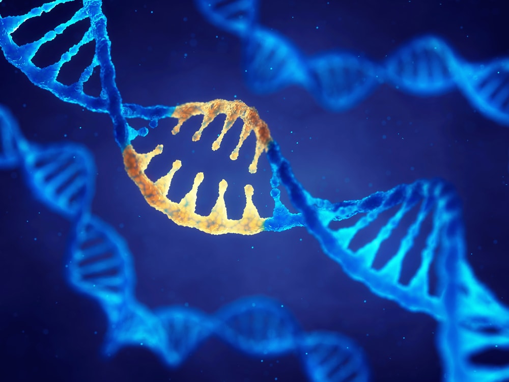 Что такое делеция, структурные хромосомные мутации?