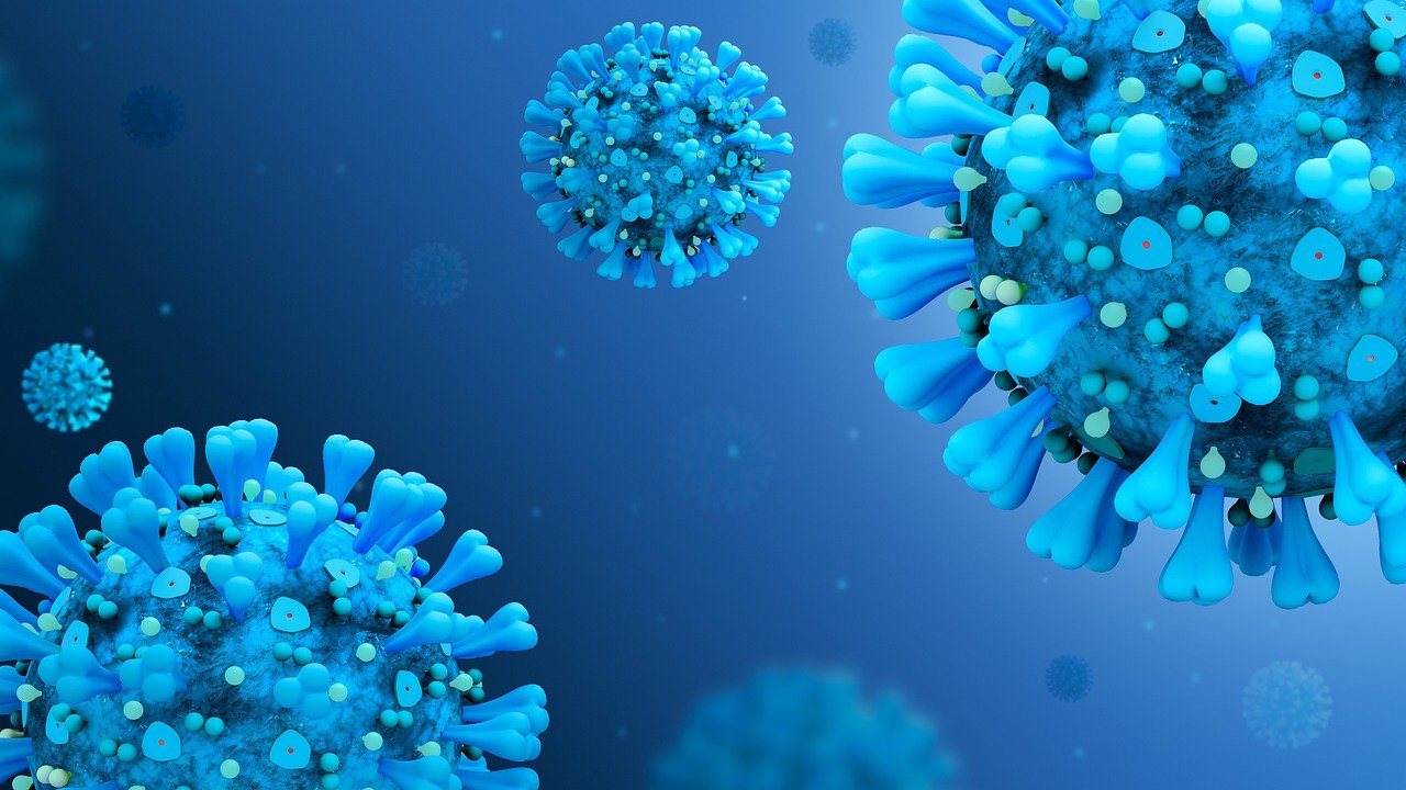 Как вирусы «взламывают» иммунную систему